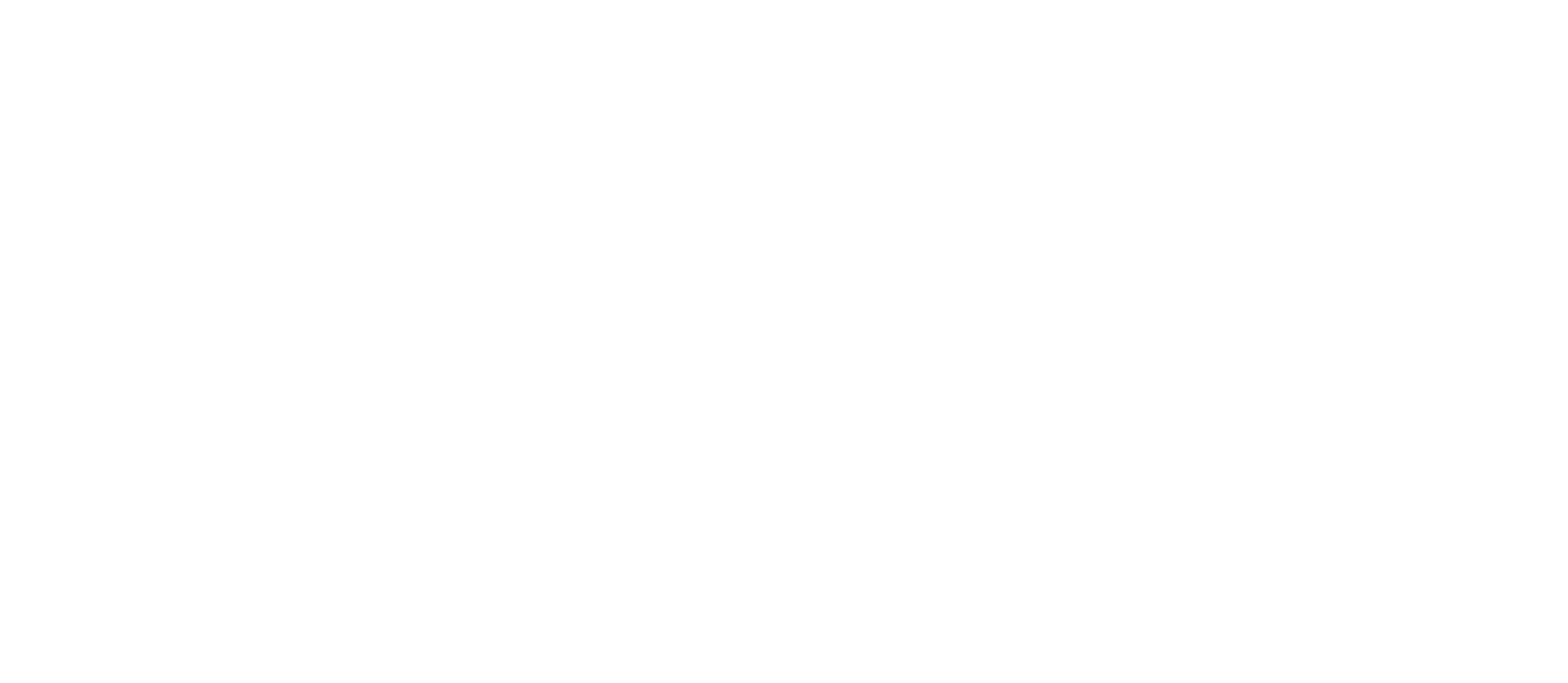 CarCapital Logo